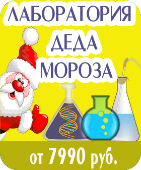 Лаборатория Деда Мороза